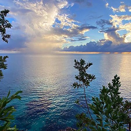 Oceanfront Condo W/ Free Parking + High Speed Wifi Negril Exteriér fotografie