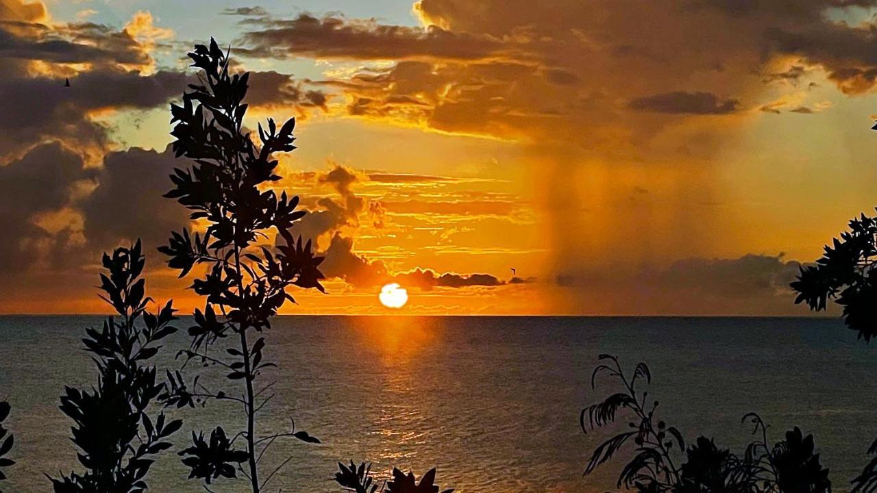 Oceanfront Condo W/ Free Parking + High Speed Wifi Negril Exteriér fotografie